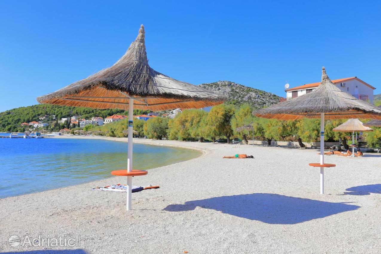 Apartments Luciano Seget Vranjica Dış mekan fotoğraf